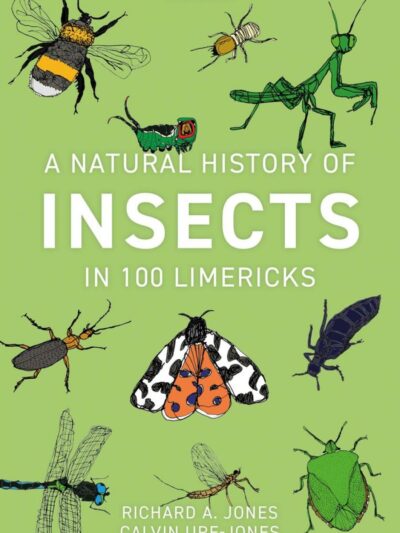 Cover of A Natural History of Insects in 100 Limericks
