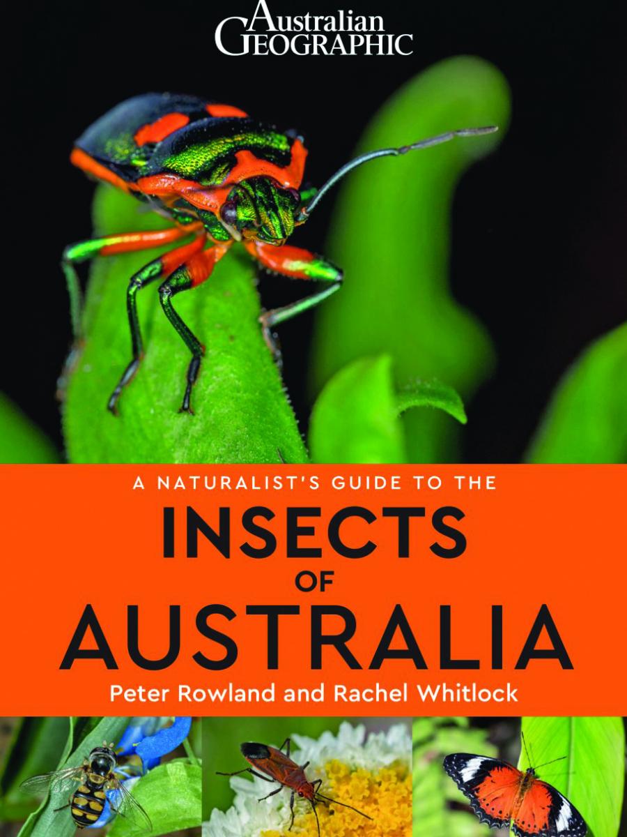 Cover of A Naturalist's Guide to the Insects of Australia