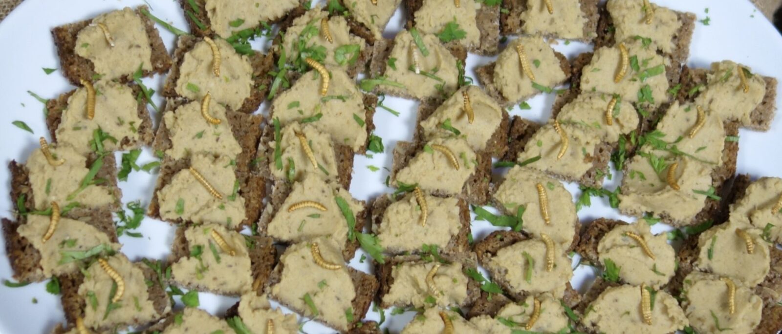 Canapes with mealworms Credit Peter Smithers