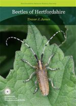 Cover of Beetles of Hertfordhire book