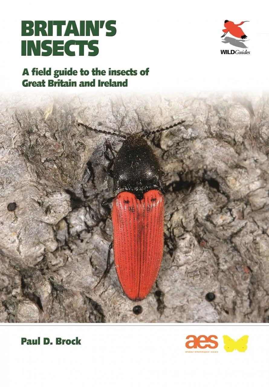 Cover of Britain’s Insects: A field guide to the insects of Great Britain and Ireland