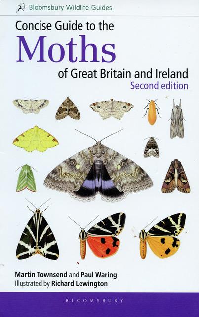 Cover of Concise Guide to the Moths of Great Britain and Ireland (Second Edition)