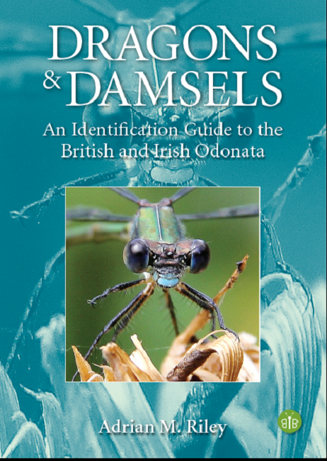 Cover of Dragons & Damsels: An Identification Guide to the British and Irish Odonata