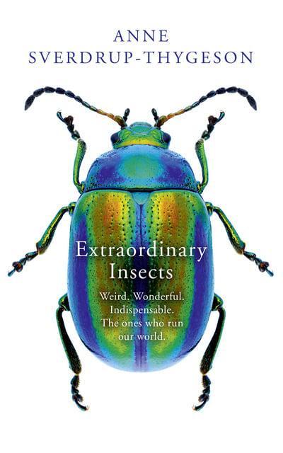 Cover of extraordinary insects