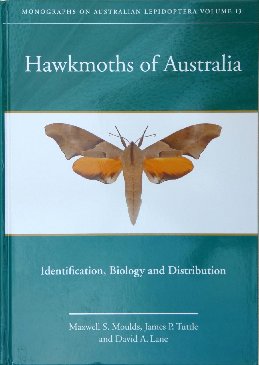 Cover of HAWKMOTHS OF AUSTRALIA
