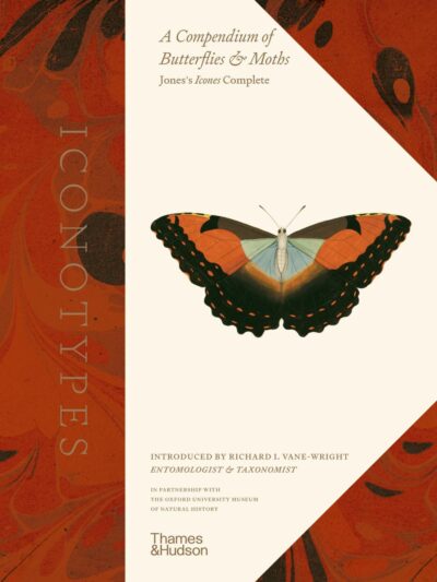 Cover of Iconotypes: A Compendium of Butterflies & Moths