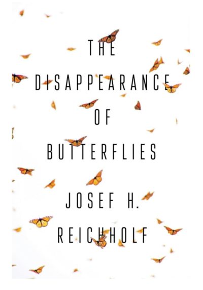 Cover of The Disappearance of Butterflies