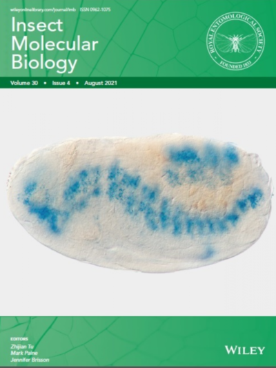 Cover of Insect Molecular Biology