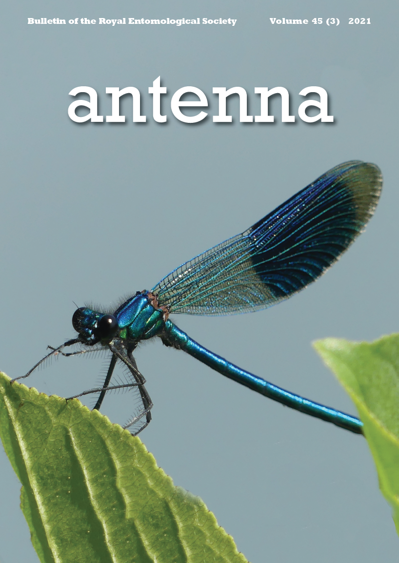 Cover of Antenna 45 (3) 2021