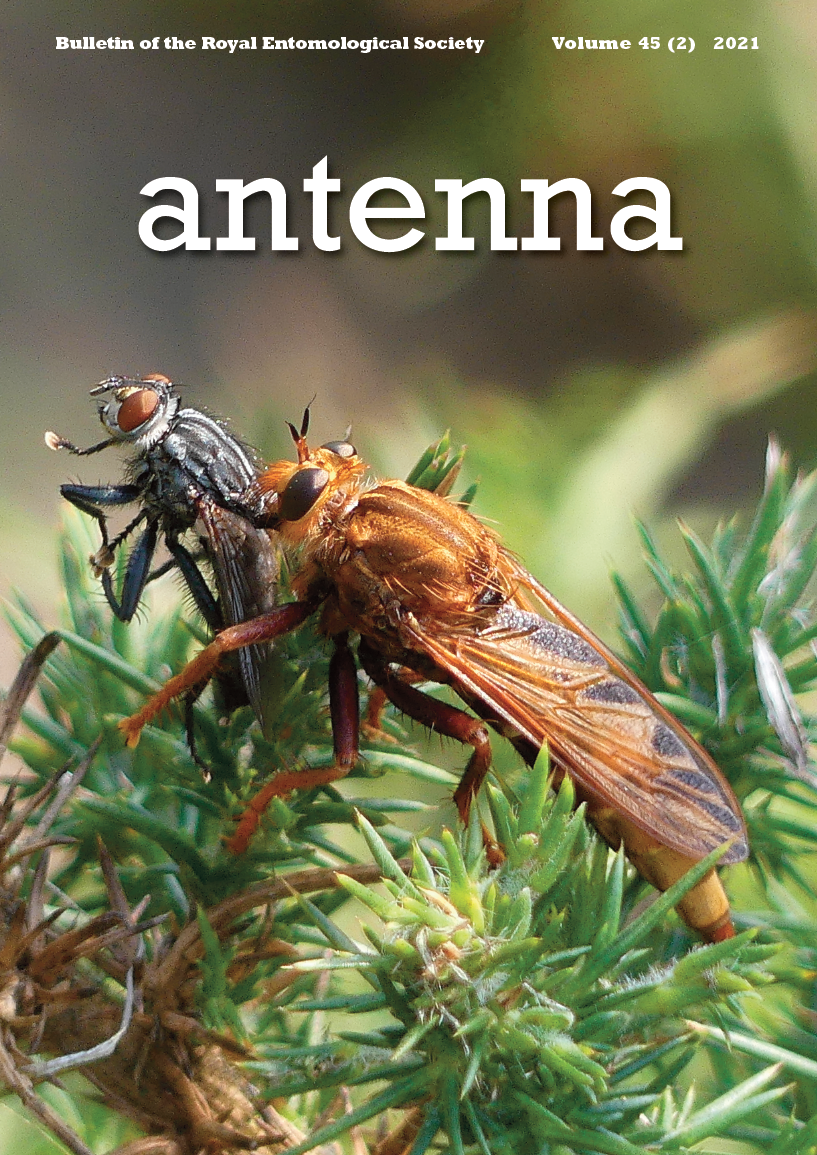 Cover of Antenna 45 (2) 2021