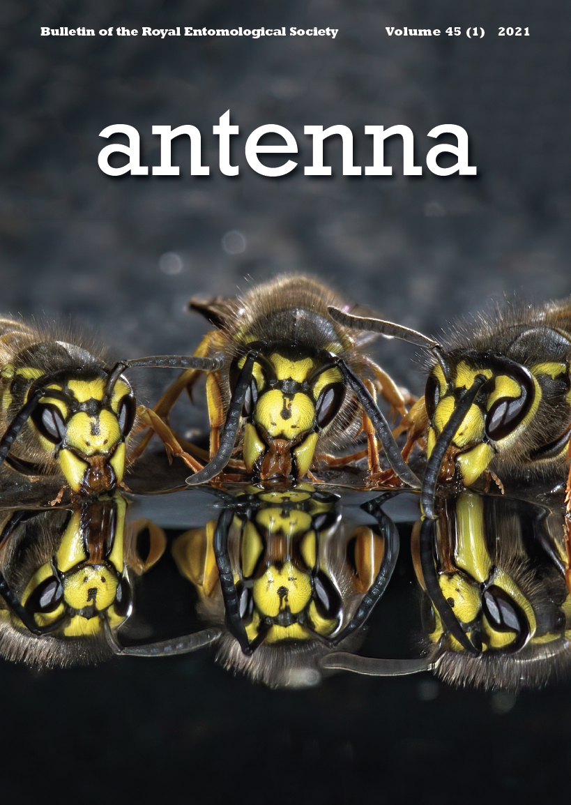 Cover of Antenna 45 (1)