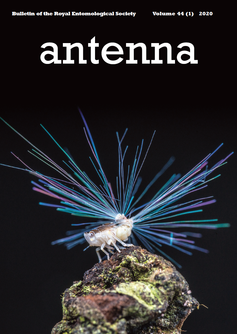 Cover of Antenna 44 (1) 2020