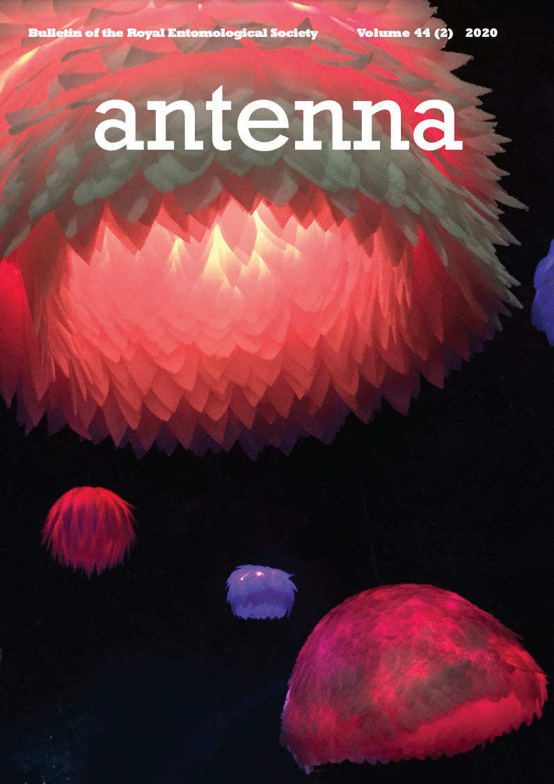 Cover of Antenna Volume 44 (2) 2020