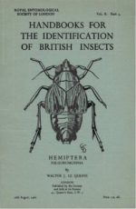 Cover of Hemiptera - Fulgoromorpha, RES Handbooks for the Identification of British Insects, Volume 2, Part 3