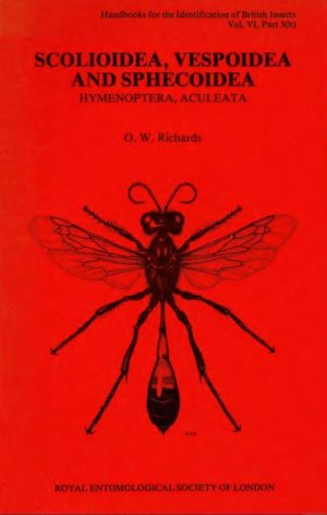 Cover of Hymenoptera – Bethyloidea (excluding Chrysididae). RES Handbooks for the Identification of British Insects, Volume 6, Part 3b
