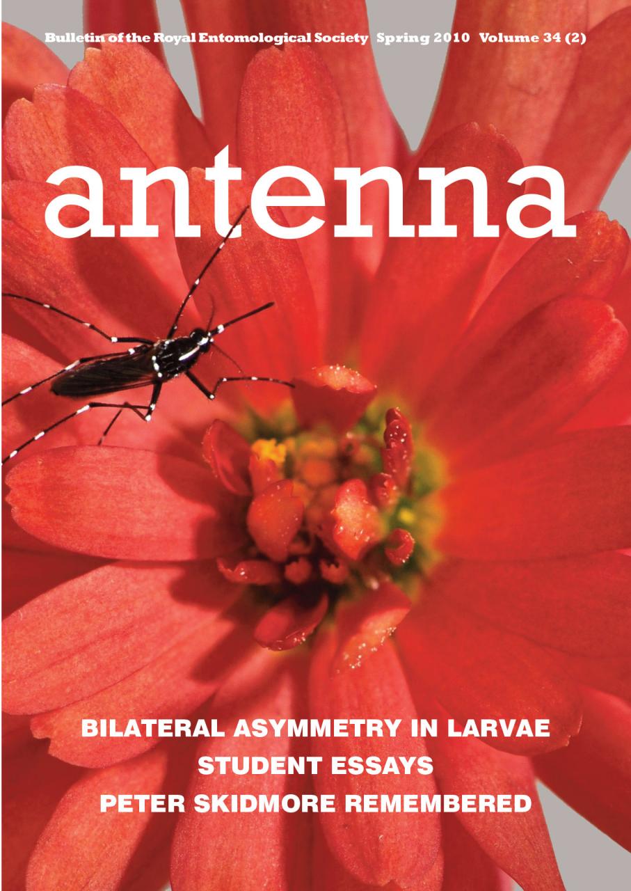 Cover of Antenna Volume 34 (2) 2010