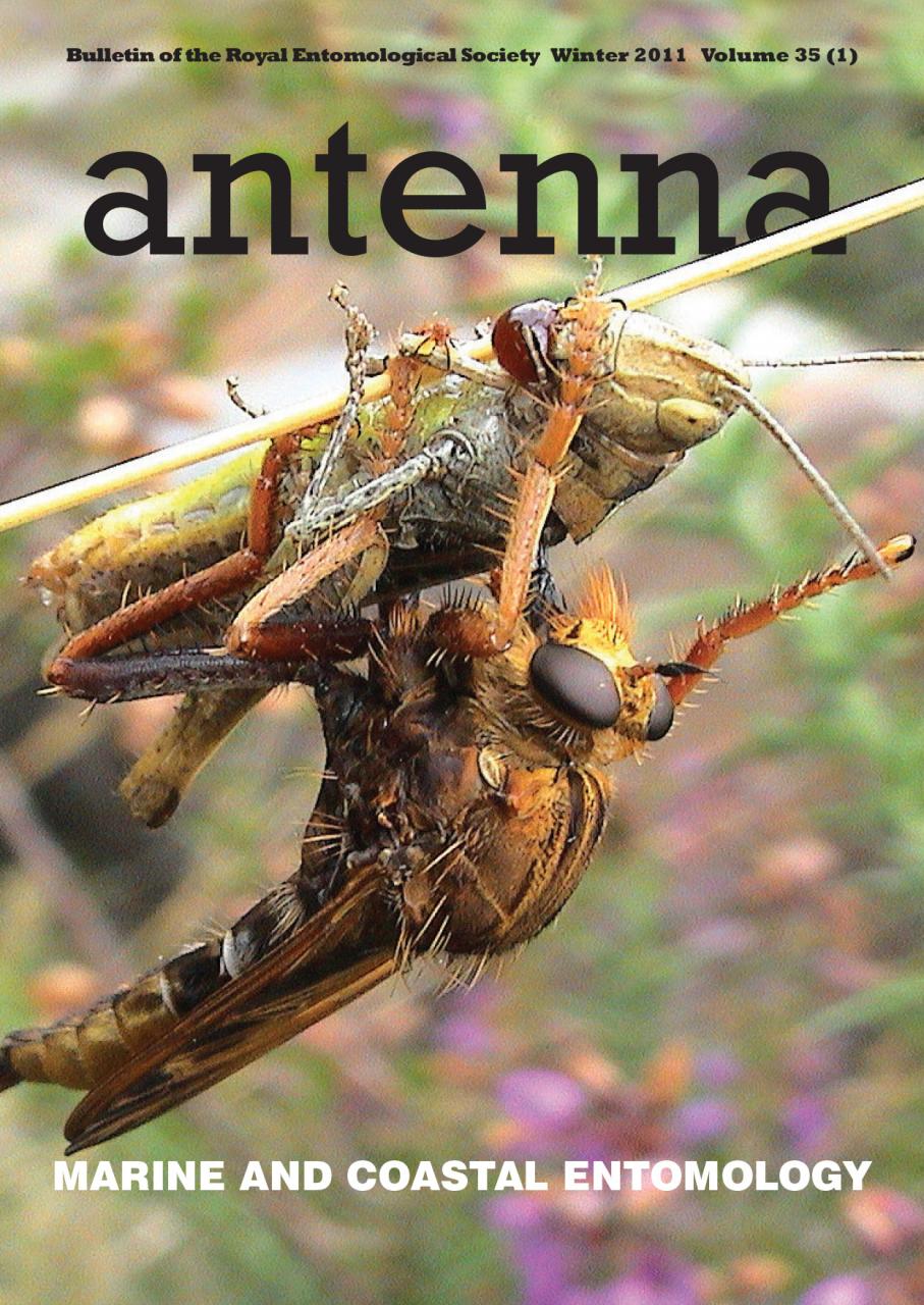 Cover of Antenna Volume 35 (1) 2011