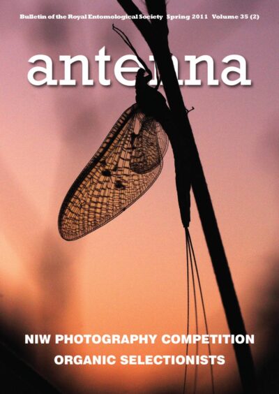 Cover of Antenna Volume 35 (2) 2011