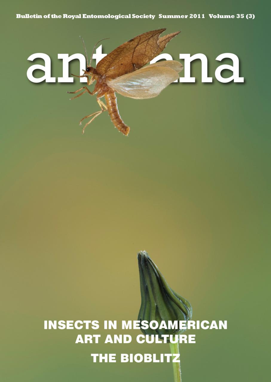 Antenna Volume 35 (3) 2011