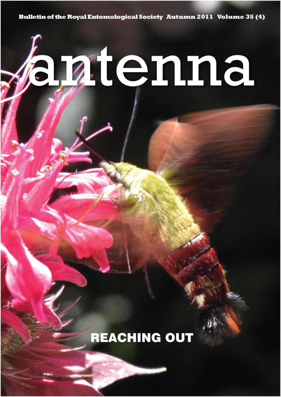 Cover of Antenna Volume 35 (4) 2011