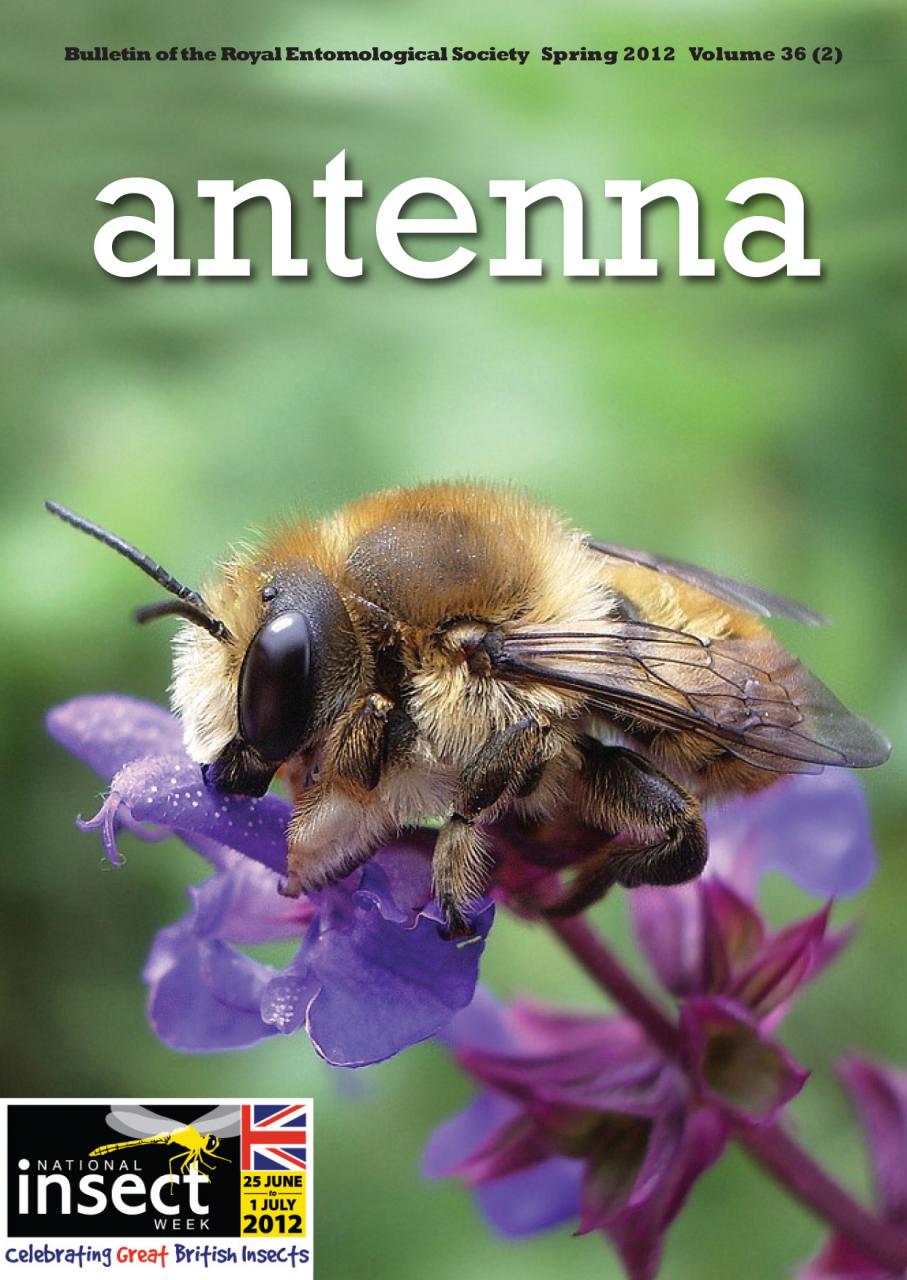 Cover of Antenna Volume 36 (2) 2012
