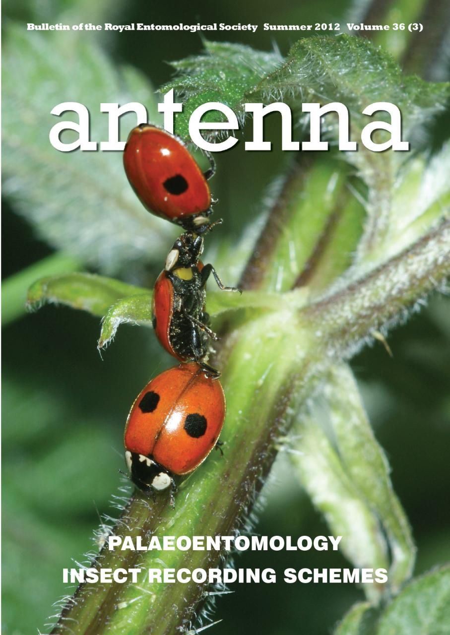 Cover of Antenna Volume 36 (3) 2012