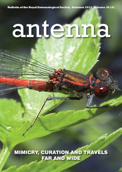 Cover of Antenna Volume 36 (4) 2012
