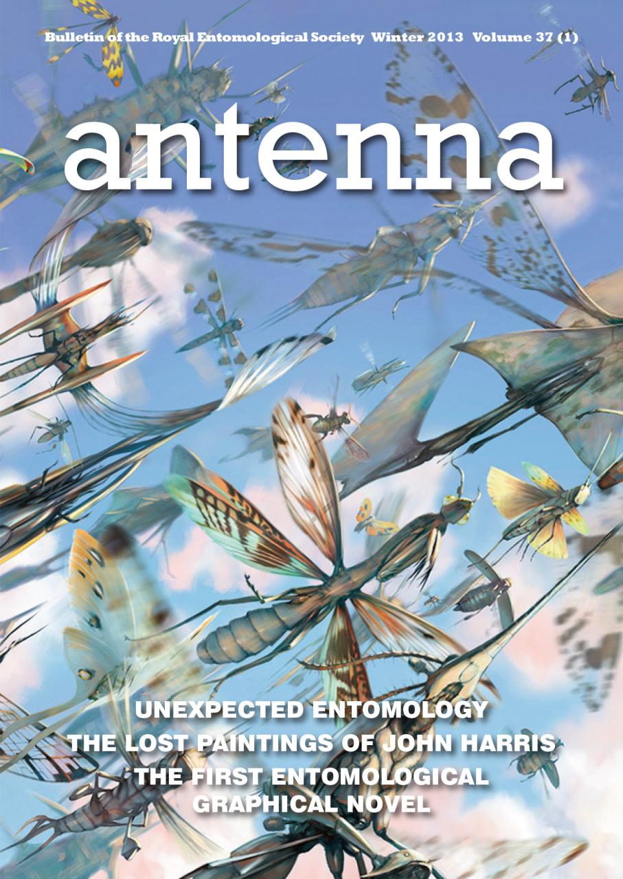 Cover of Antenna Volume 37 (1) 2013
