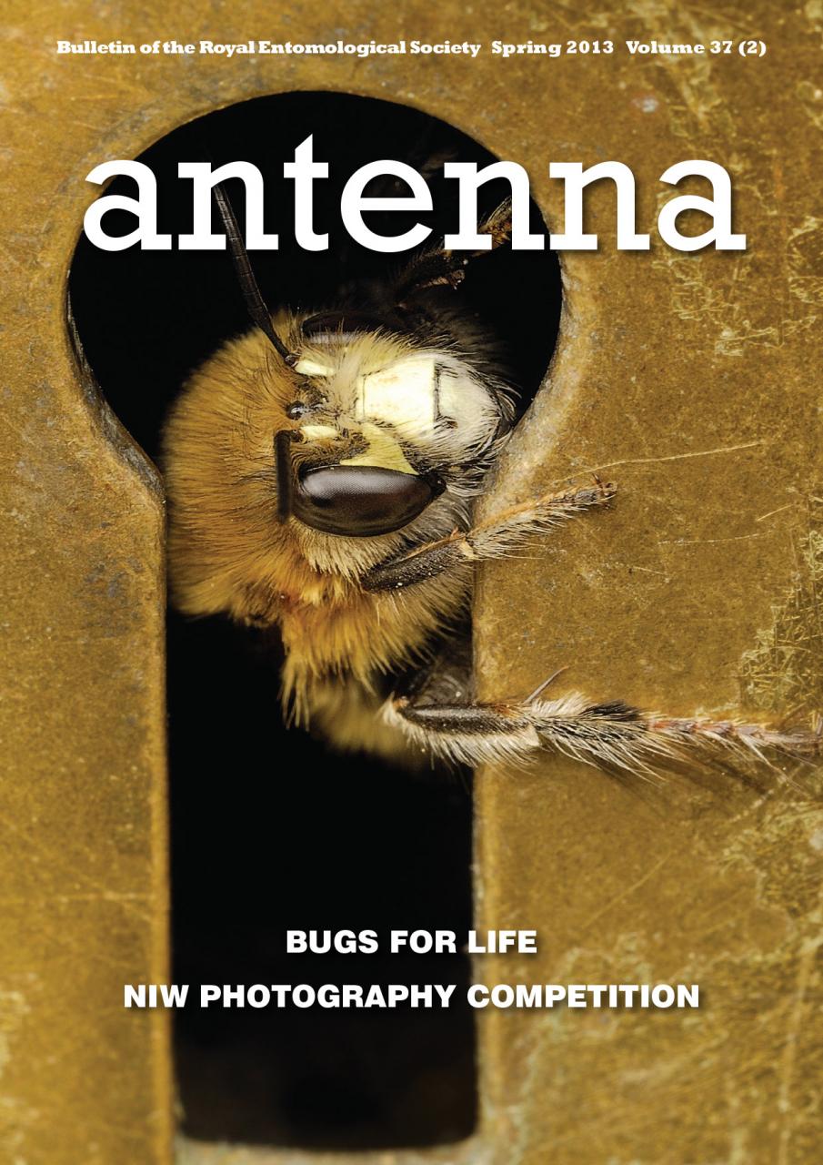 Cover of Antenna Volume 37 (2) 2013