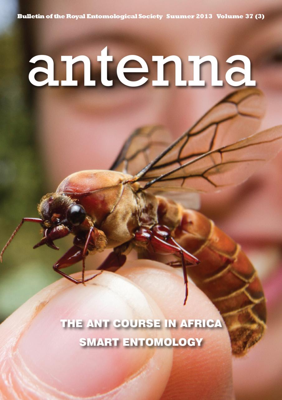Cover of Antenna Volume 37 (3) 2013