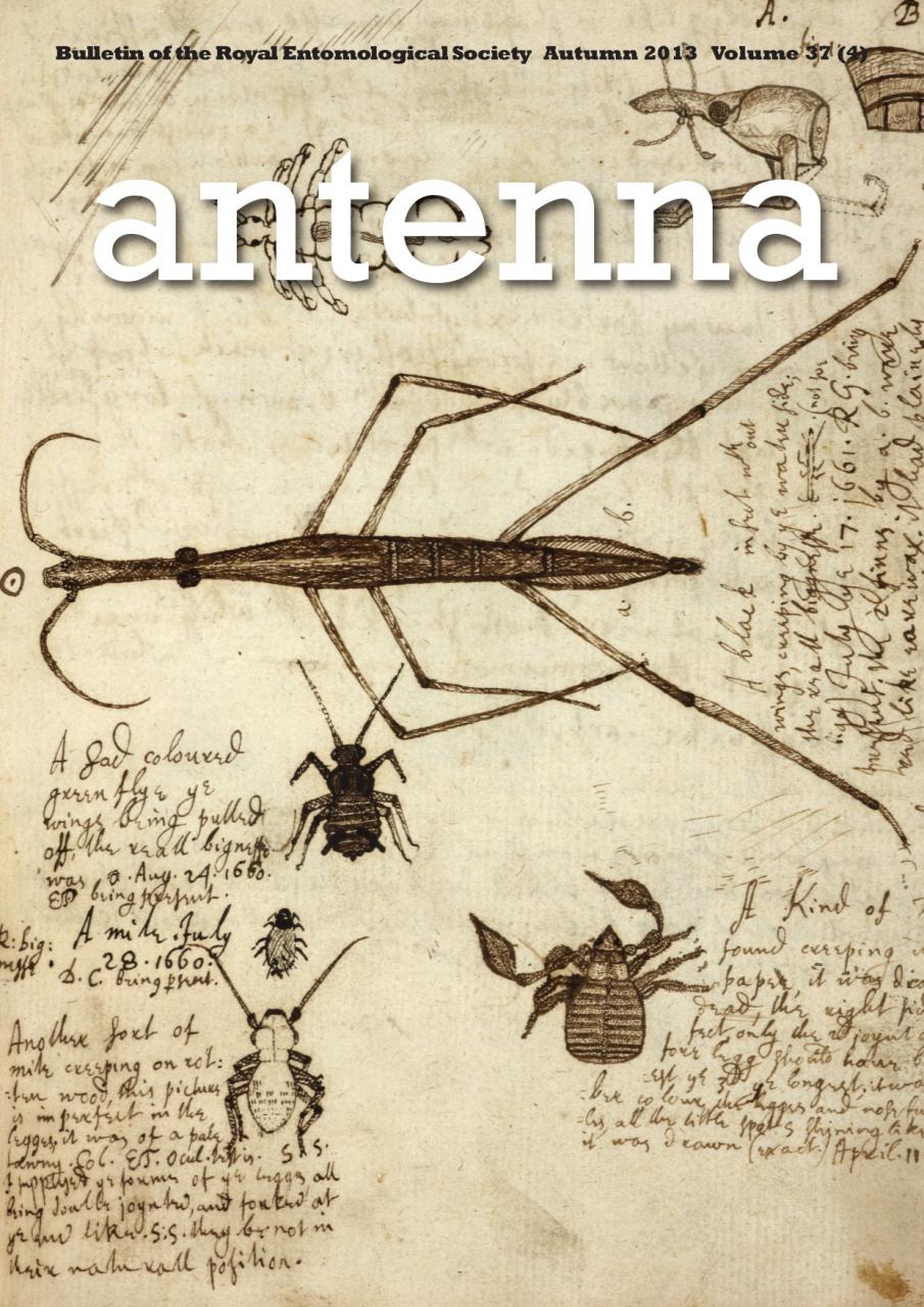 Cover of Antenna Volume 37 (4) 2013