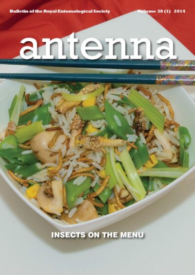 Cover of Antenna Volume 38 (1) 2014