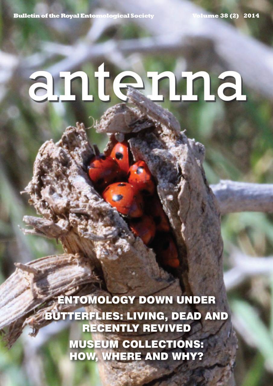 Cover of Antenna Volume 38 (2) 2014