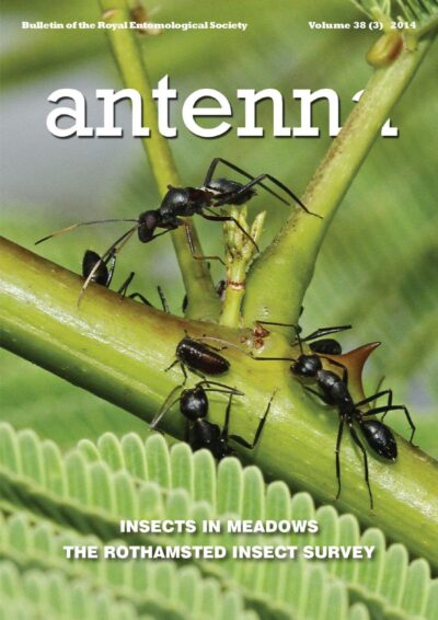 Cover of Antenna Volume 38 (3) 2014