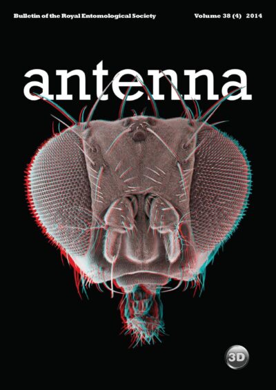 Cover of Antenna Volume 38 (4) 2014
