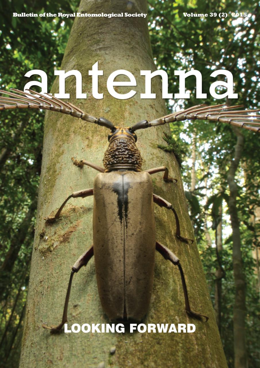 Cover of Antenna Volume 39 (2) 2015
