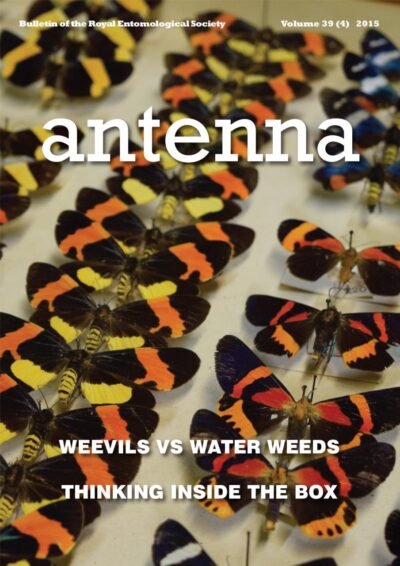 Cover of Antenna Volume 39 (4) 2015