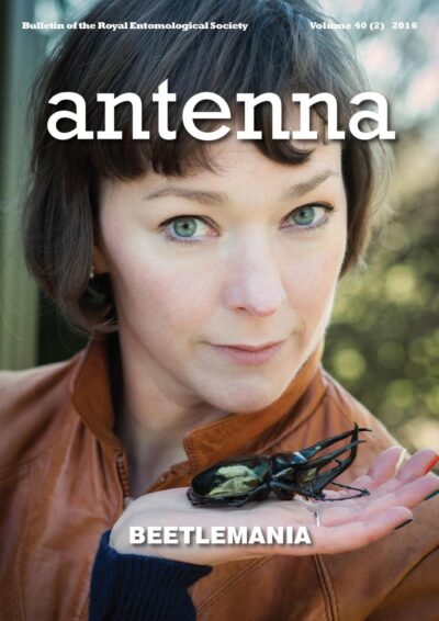 Cover of Antenna Volume 40 (2) 2016
