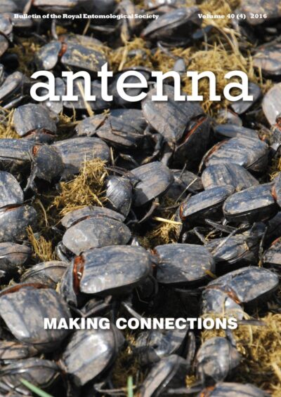 Cover of Antenna Volume 40 (4) 2016