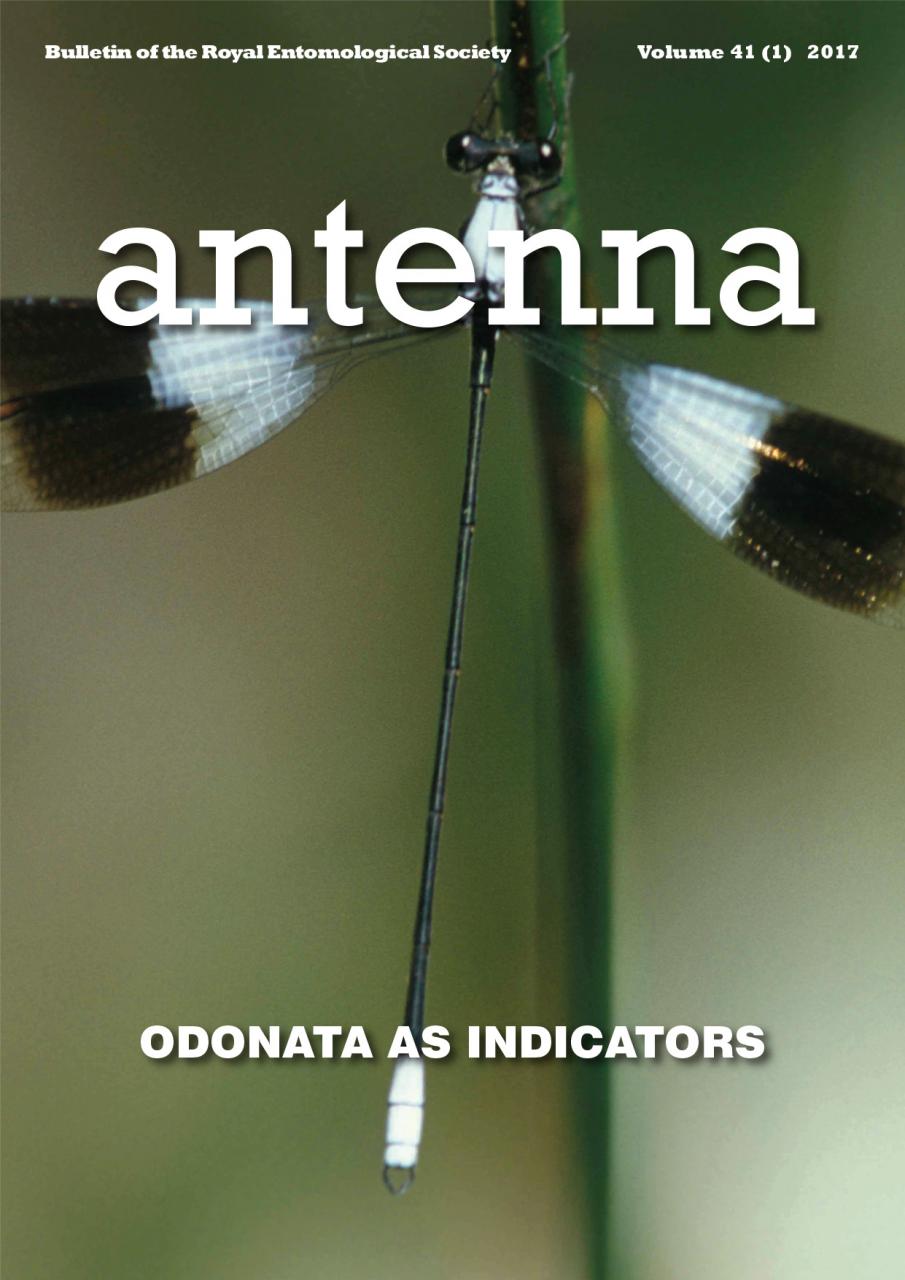 Cover of Antenna Volume 41 (1) 2017