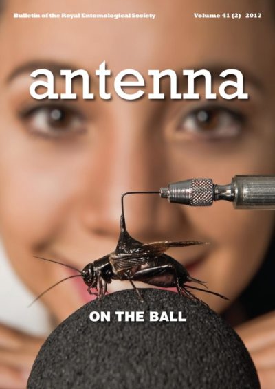 Cover of Antenna Volume 41 (2) 2017