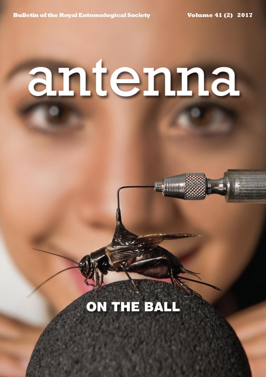 Cover of Antenna Volume 41 (2) 2017