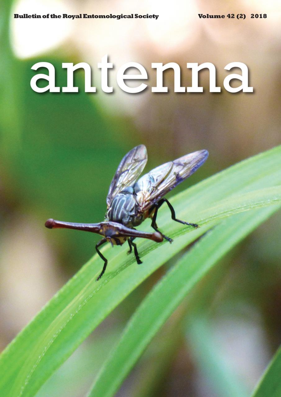 Cover of Antenna Volume 42 (2) 2018