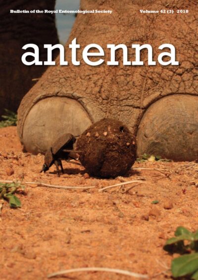 Cover of Antenna Volume 42 (3) 2018