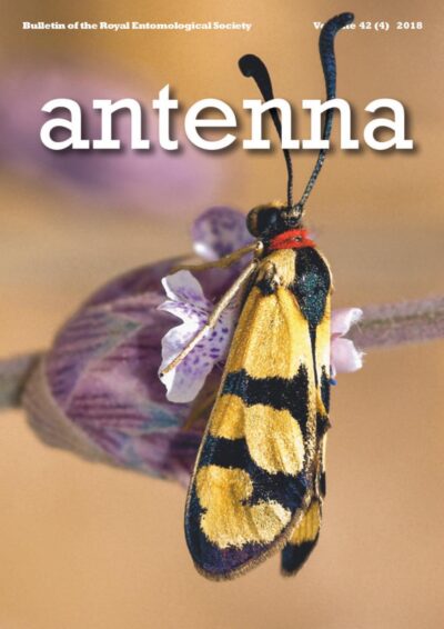 Cover of Antenna Volume 42 (4) 2018
