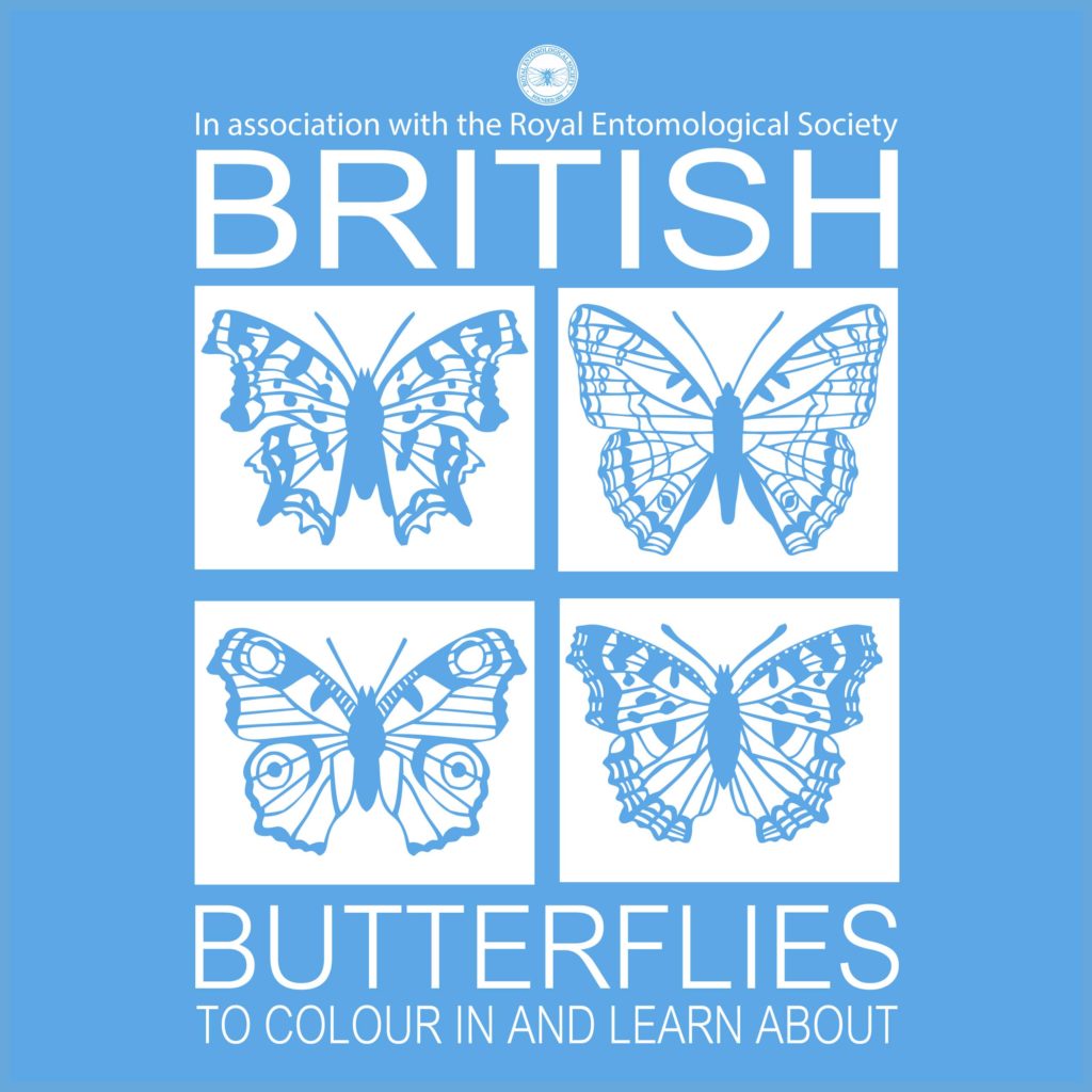 Cover of British Butterflies colouring book