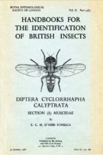 Cover of Diptera Cyclorrhapha Calyptrata b Muscidae RES Handbooks for the Identification of British Insects, Volume 10, Part 4b