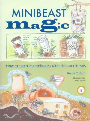 Cover of Minibeast Magic book