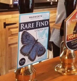 Rare Find Ale on tap