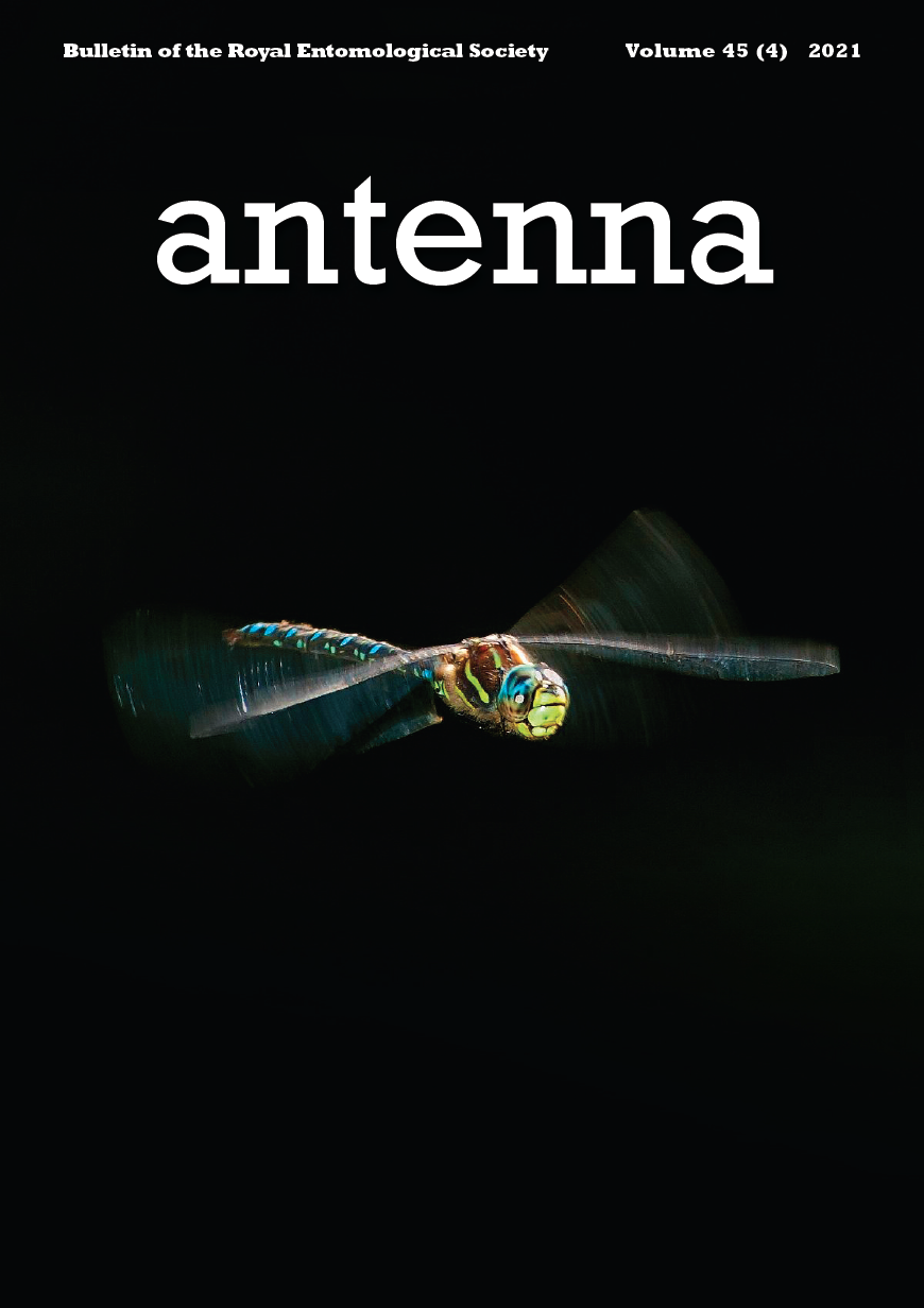 Cover of Antenna Volume 45 (4) 2021